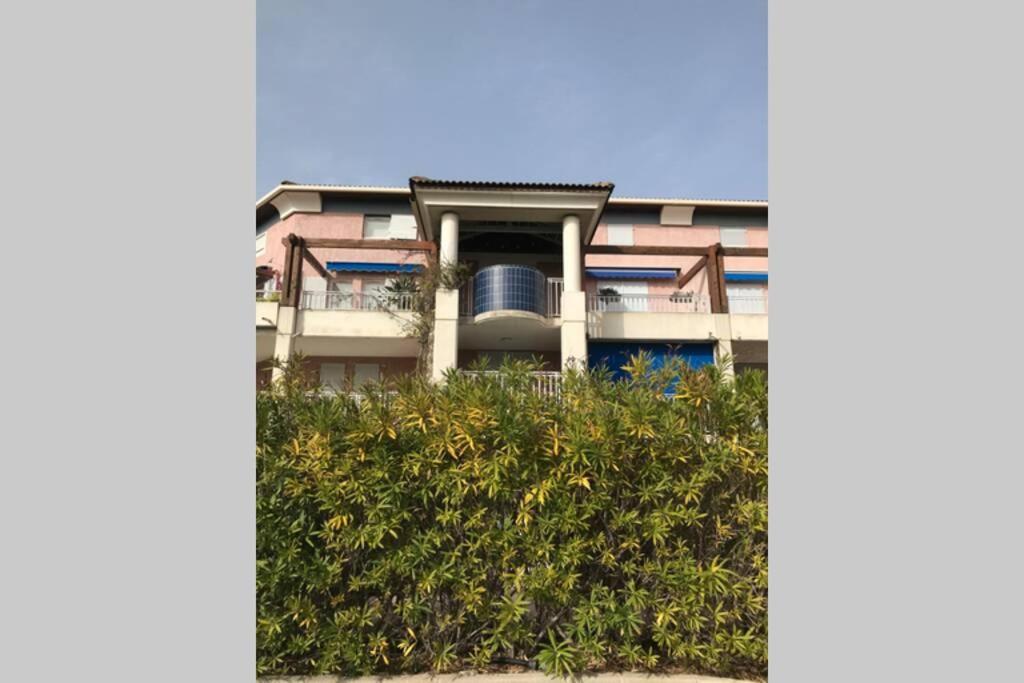 Magnifique Studio A 50M De La Plage De Cavaliere - Studio Tamarindo 르 라방두 외부 사진