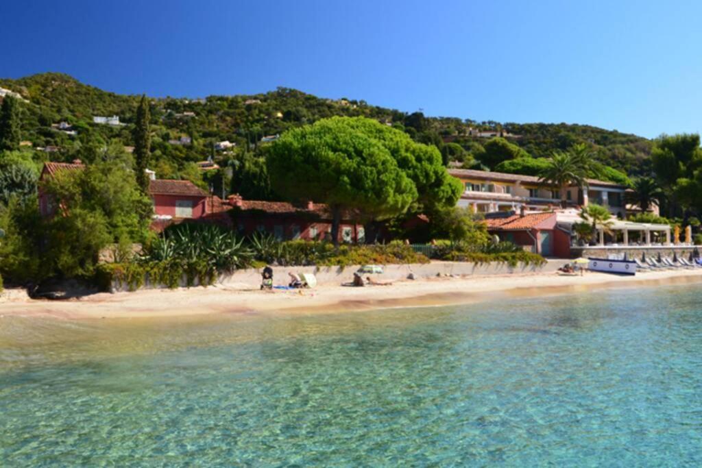 Magnifique Studio A 50M De La Plage De Cavaliere - Studio Tamarindo 르 라방두 외부 사진